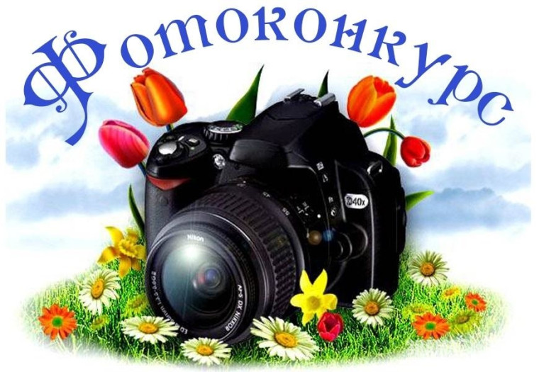 Заочный областной конкурс фоторабот "Не устаем удивляться !".